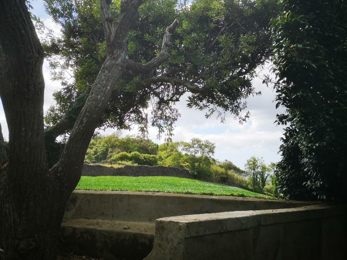 Quinta Das Camelias - Acores Ponta Delgada  Luaran gambar